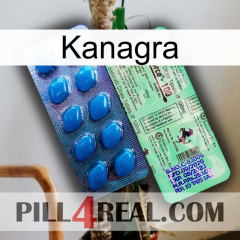 Kanagra new02